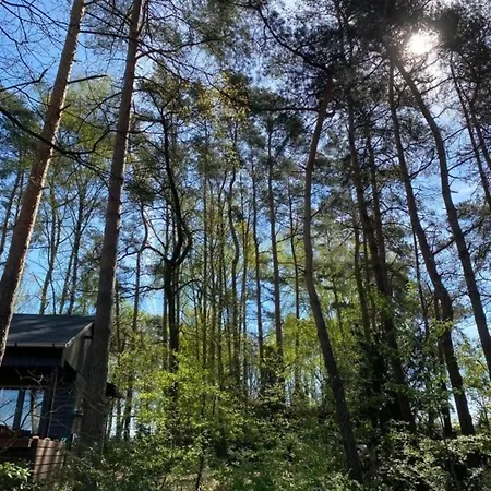 Σπίτι διακοπών Wittingen Wittingen