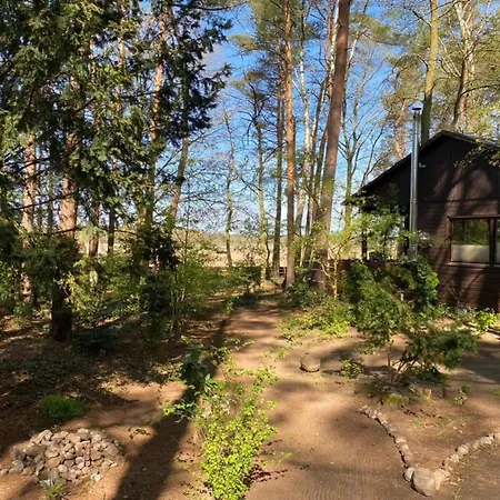 Wittingen * Wittingen